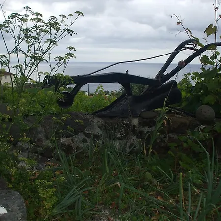 Adega Do Batista * Calheta (Azores)