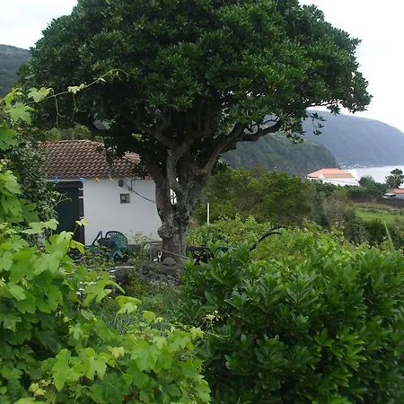 Adega Do Batista